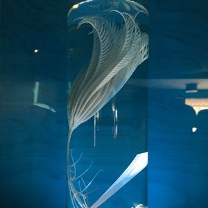 Meet your Posher, Erika